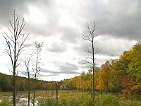 Fall '05 - 6.jpg